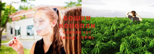 молекула духа Зерноград