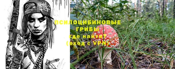 молекула духа Зерноград